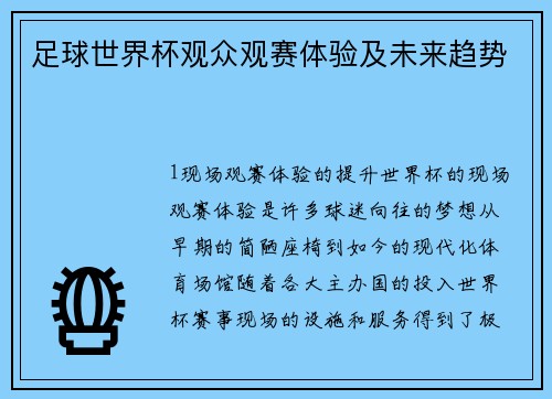足球世界杯观众观赛体验及未来趋势